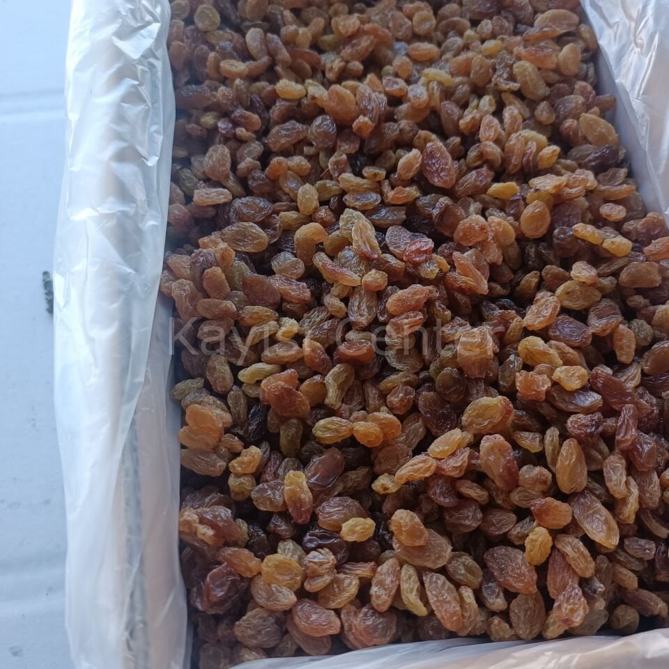 Toptan İzmir Çekirdeksiz Üzüm 10 Kg